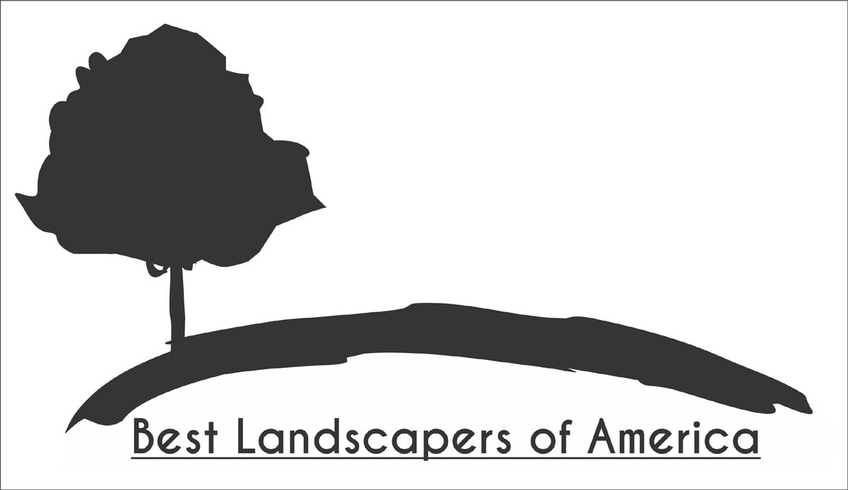Logo Design by Mango for this project | Design #3100483