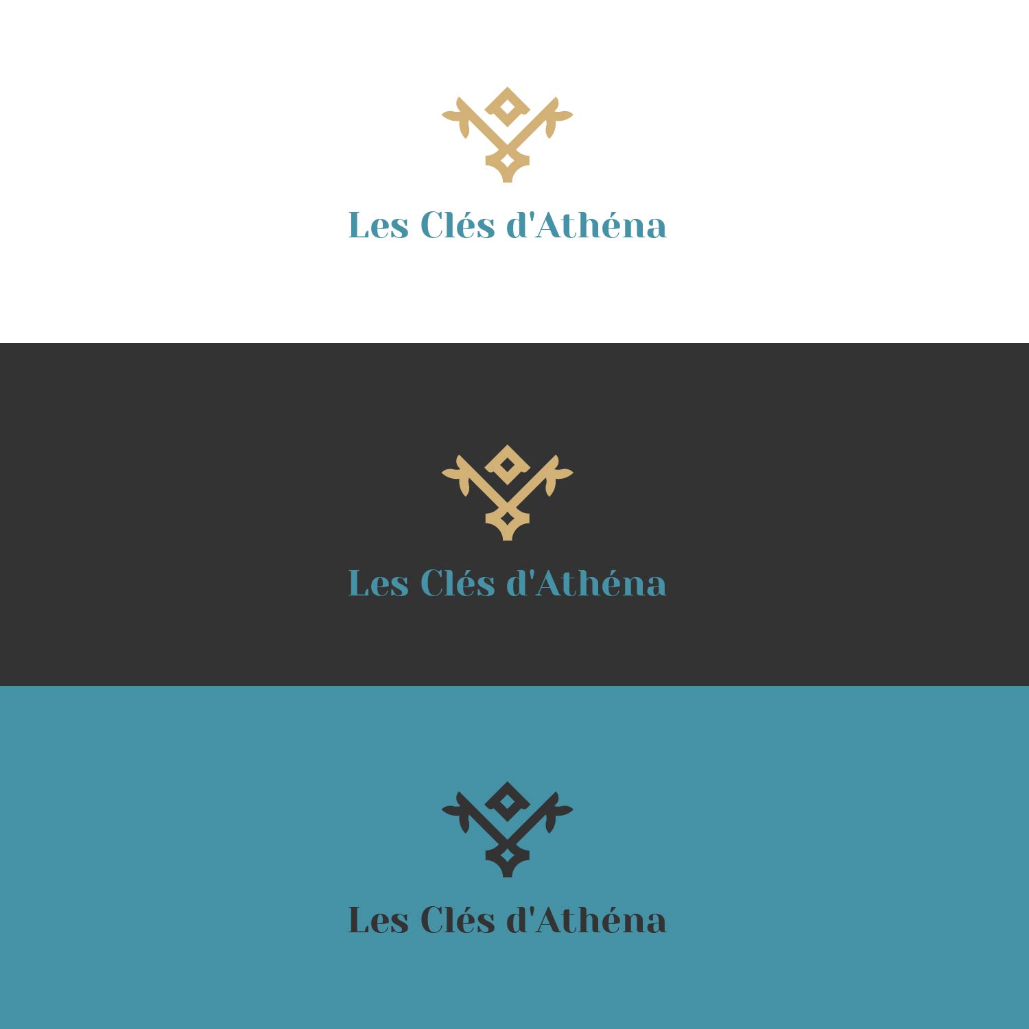 Diseño de Logo por HydDesign para este proyecto | Diseño #28480250