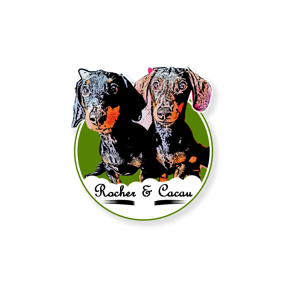Logo Design by Bhanu uday for C.M.P.SOARES - CONSULTORIA DE INFORMÁTICA, UNIPESSOAL LDA | Design #28506686