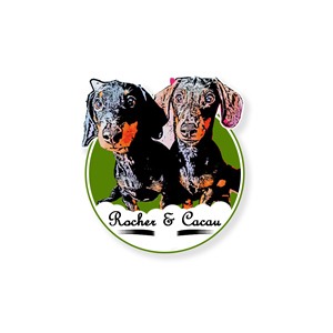 Logo Design by Bhanu uday
