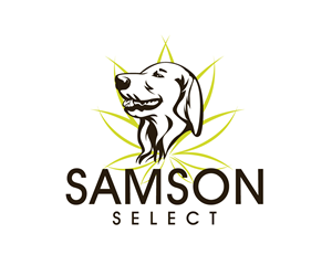 Logo Design by Paint-Tools
