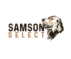 Logo Design by Paint-Tools for this project | Design: #28483137