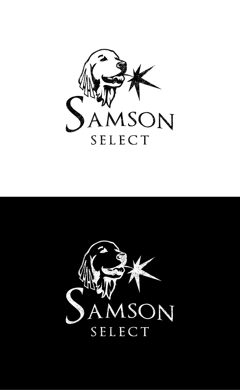 Logo Design by vidarshana 2 for this project | Design #28508123