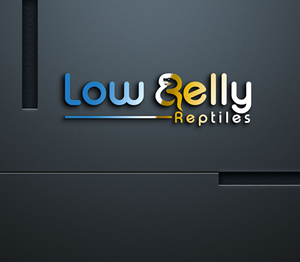 Logo Design by adobehead for this project | Design: #28486544