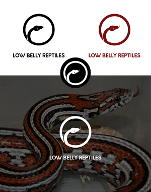 Logo Design by Charlie Benitez for this project | Design: #28511714