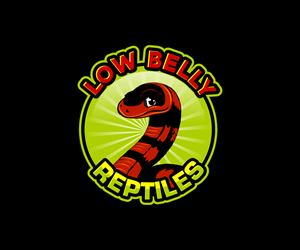 Logo Design by Paint-Tools