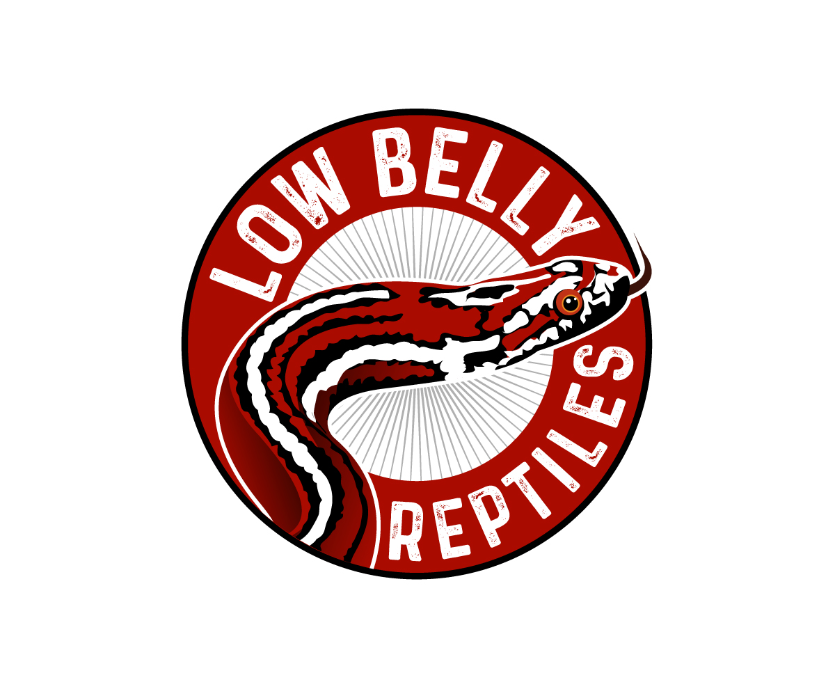 Logo Design by Paint-Tools for this project | Design #28492051