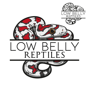 Logo Design by MJa designer for this project | Design: #28491388