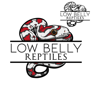 Logo Design by MJa designer for this project | Design: #28496455