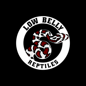 Low Belly Reptiles | Logo Design by luckdesign