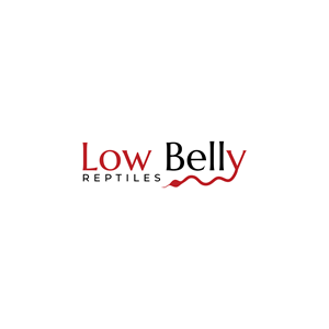 Logo Design by LAXMI DESIGNHUB for this project | Design: #28488519