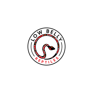 Logo Design by LAXMI DESIGNHUB for this project | Design: #28488520