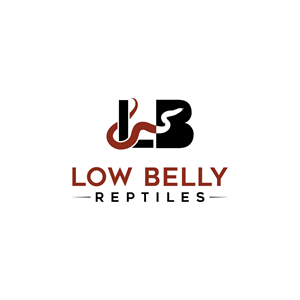 Logo Design by LAXMI DESIGNHUB for this project | Design: #28488885