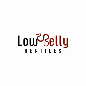 Logo Design by LAXMI DESIGNHUB for this project | Design: #28492176