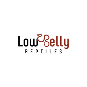 Logo Design by LAXMI DESIGNHUB for this project | Design: #28492391