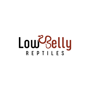 Logo-Design von Pictorial für dieses Projekt | Design #28492837