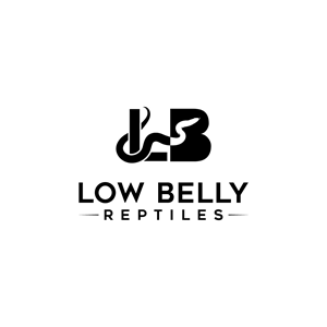 Logo Design by LAXMI DESIGNHUB for this project | Design: #28492857