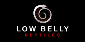 Logo Design by logoQ for this project | Design: #28489412