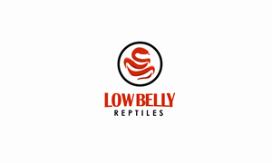 Logo Design by logoQ for this project | Design: #28494351