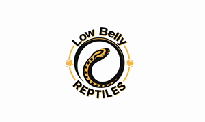 Logo Design by logoQ for this project | Design: #28494491
