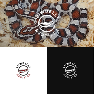 Logo Design by DesignFirst for this project | Design: #28490987