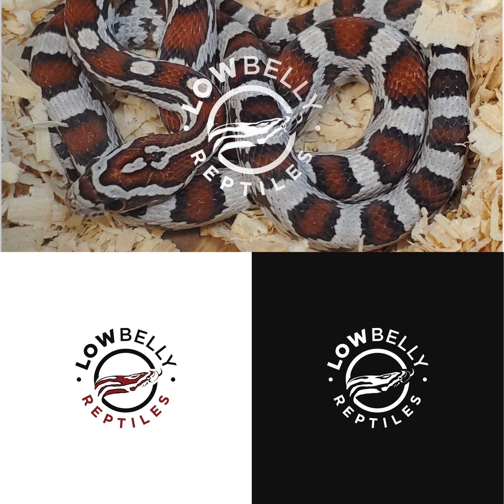 Logo Design by DesignFirst for this project | Design #28490989