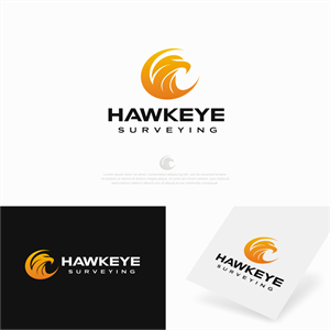 Hawkeye Surveying | Logo Design by CKS d e s i g n