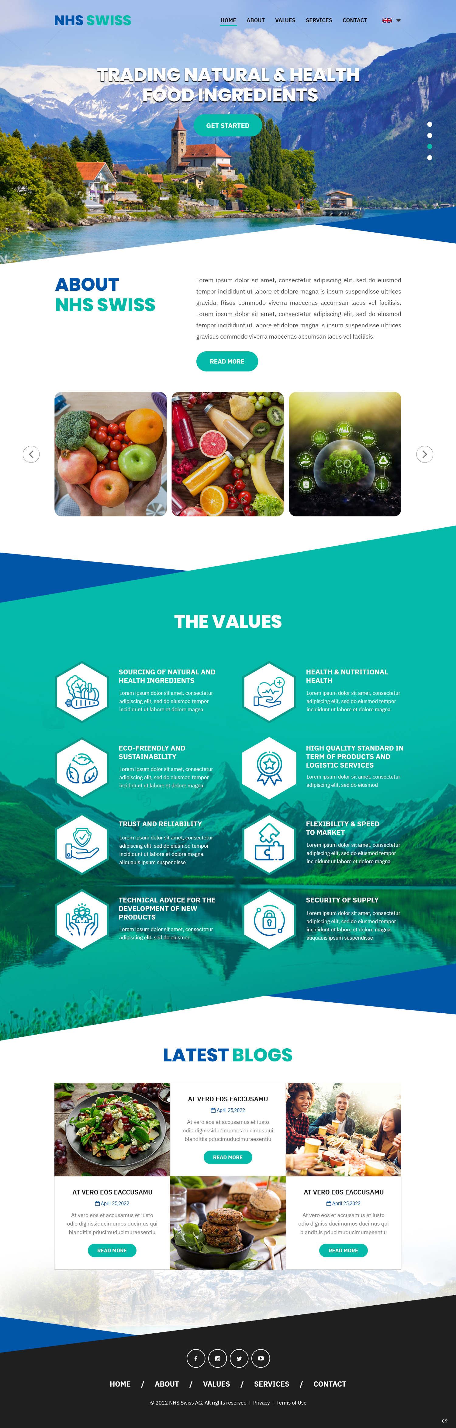 Web Design by pb for NHS Swiss AG | Design #28495416