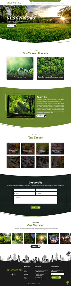 Web Design par pb pour NHS Swiss AG | Design : #28495418