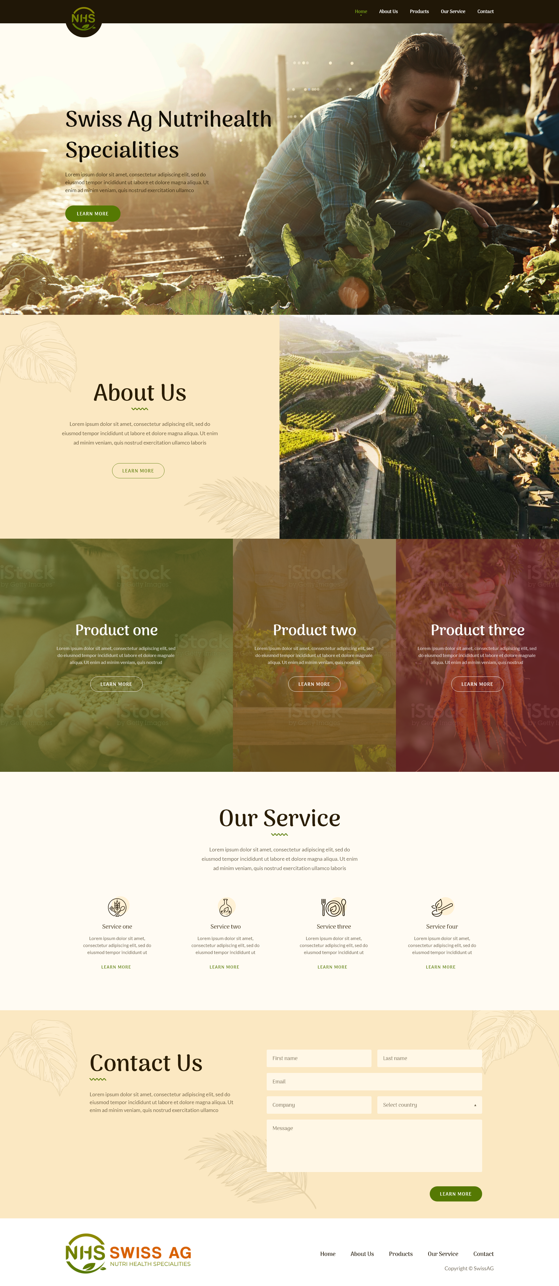 Web Design by Double d for NHS Swiss AG | Design #28506210