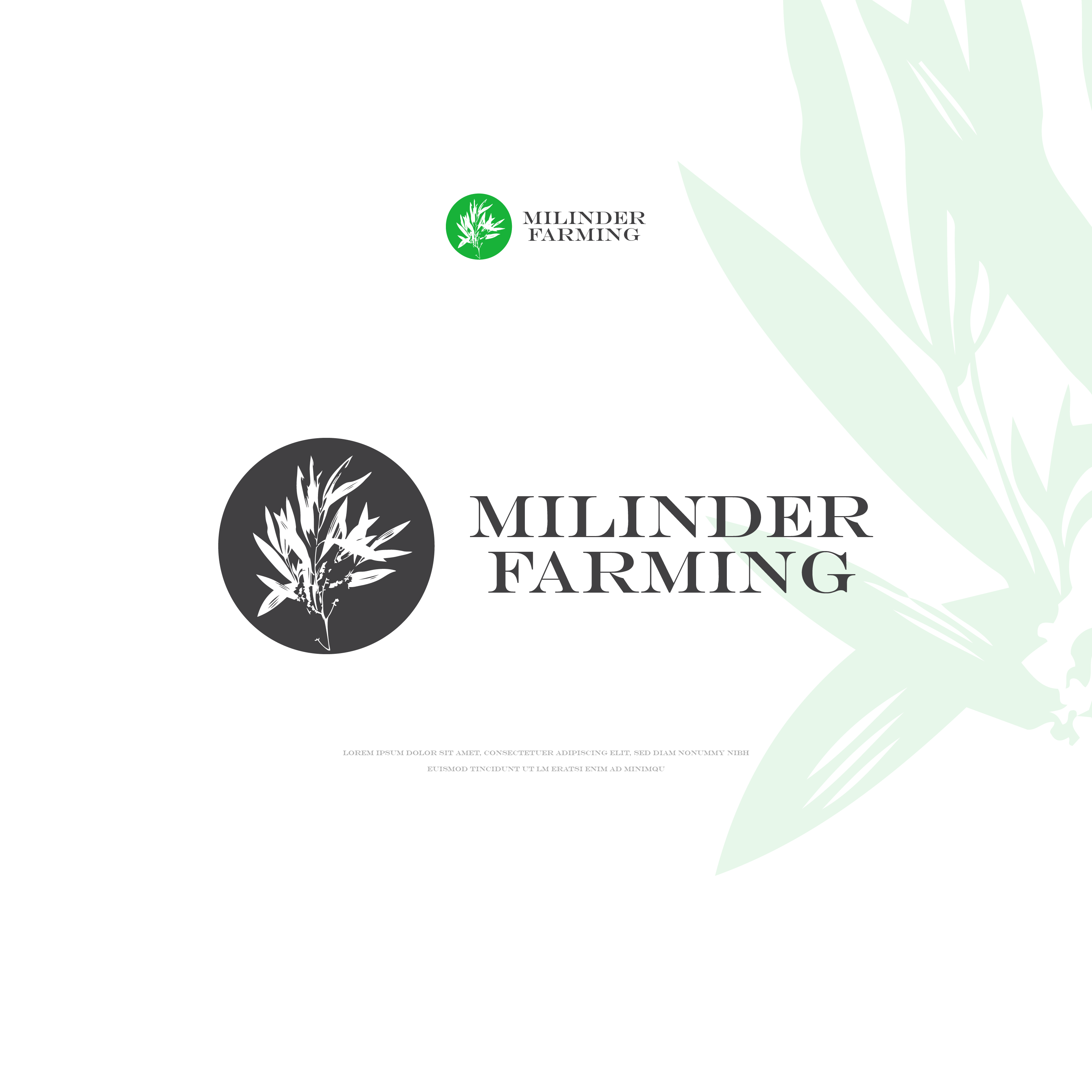 Logo Design by kacimo for this project | Design #28518672