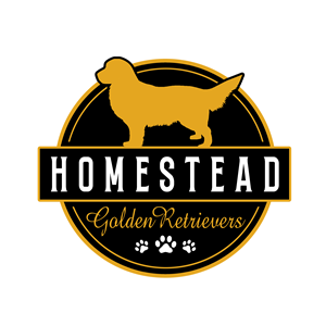Logo Design by JKIANN08 for Homestead Golden Retrievers | Design: #28515234