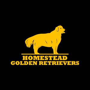 Logo Design by fly  design for Homestead Golden Retrievers | Design: #28507841