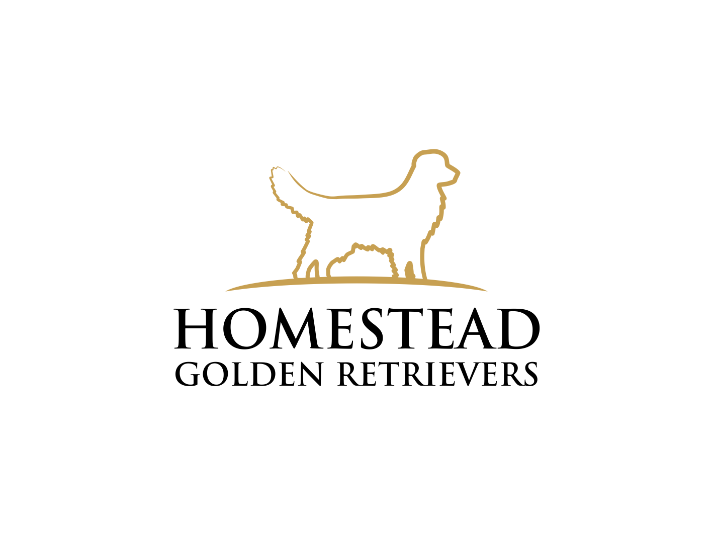 Logo Design by BNdesigner for Homestead Golden Retrievers | Design #28510675