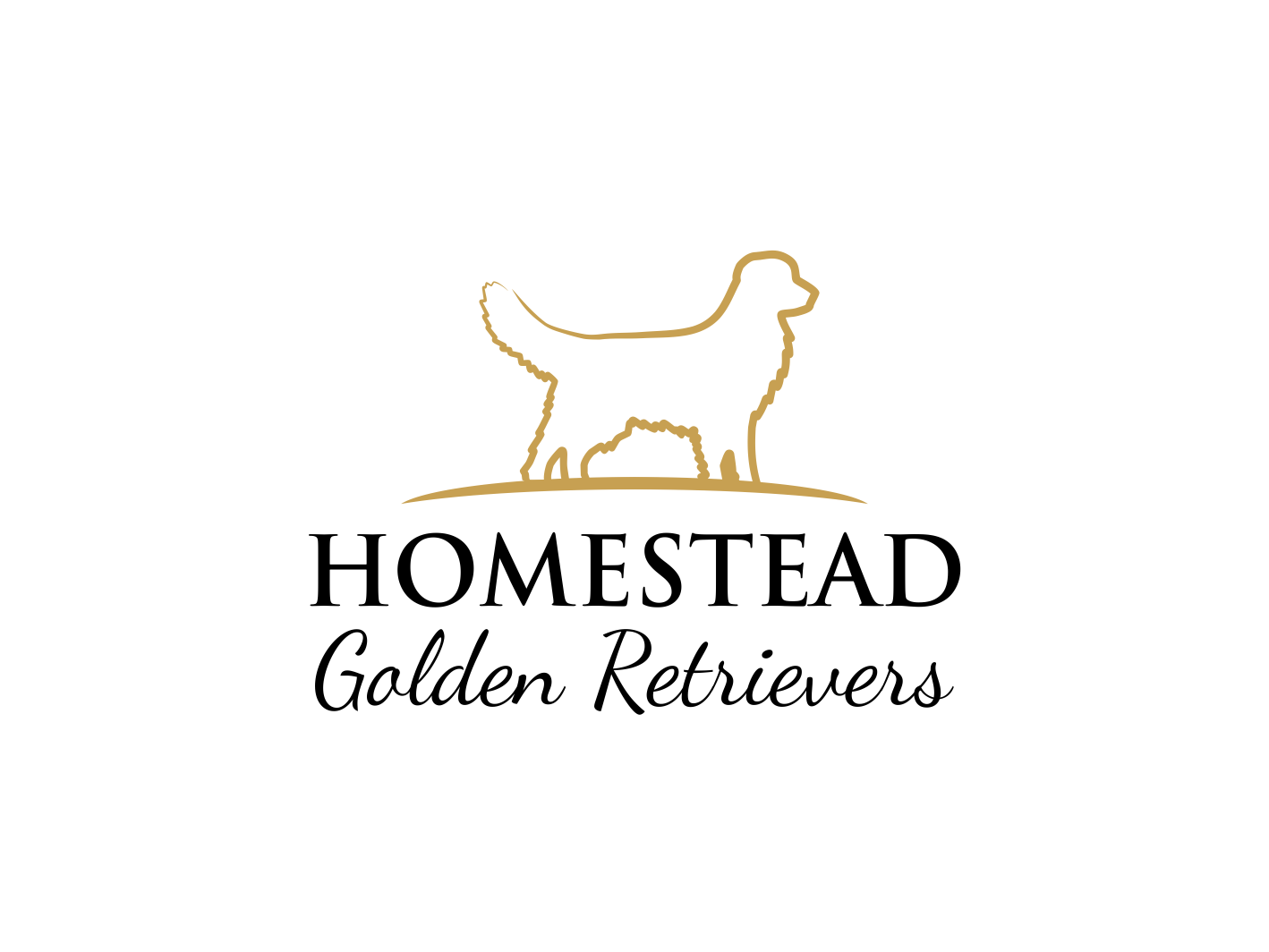 Design de Logo par BNdesigner pour Homestead Golden Retrievers | Design #28511506