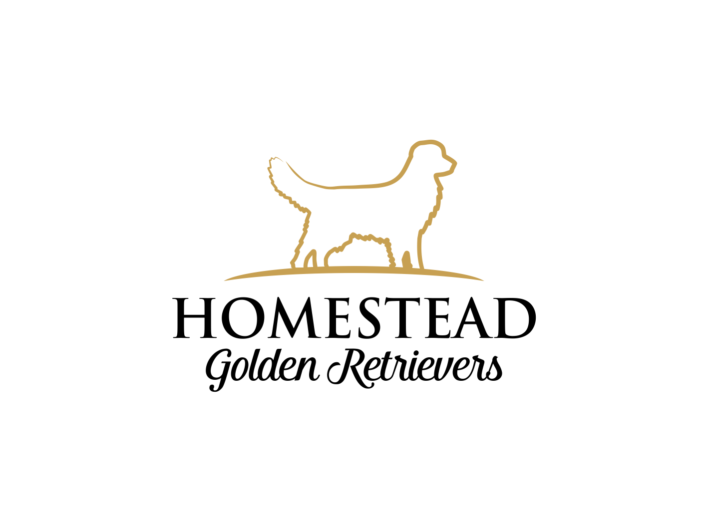 Logo Design by BNdesigner for Homestead Golden Retrievers | Design #28511508