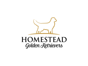Logo Design by BNdesigner for Homestead Golden Retrievers | Design: #28511508