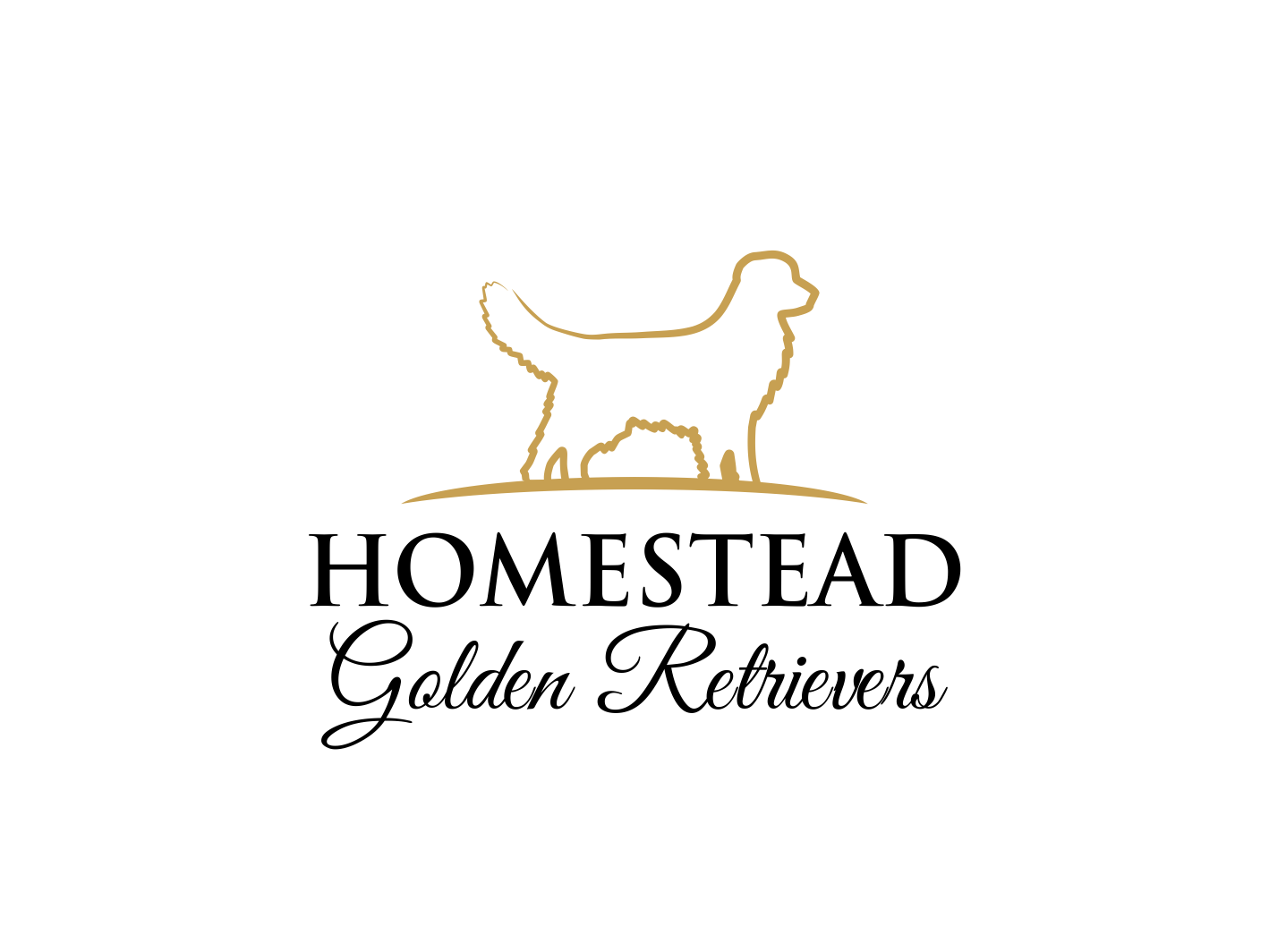 Logo Design by BNdesigner for Homestead Golden Retrievers | Design #28511509