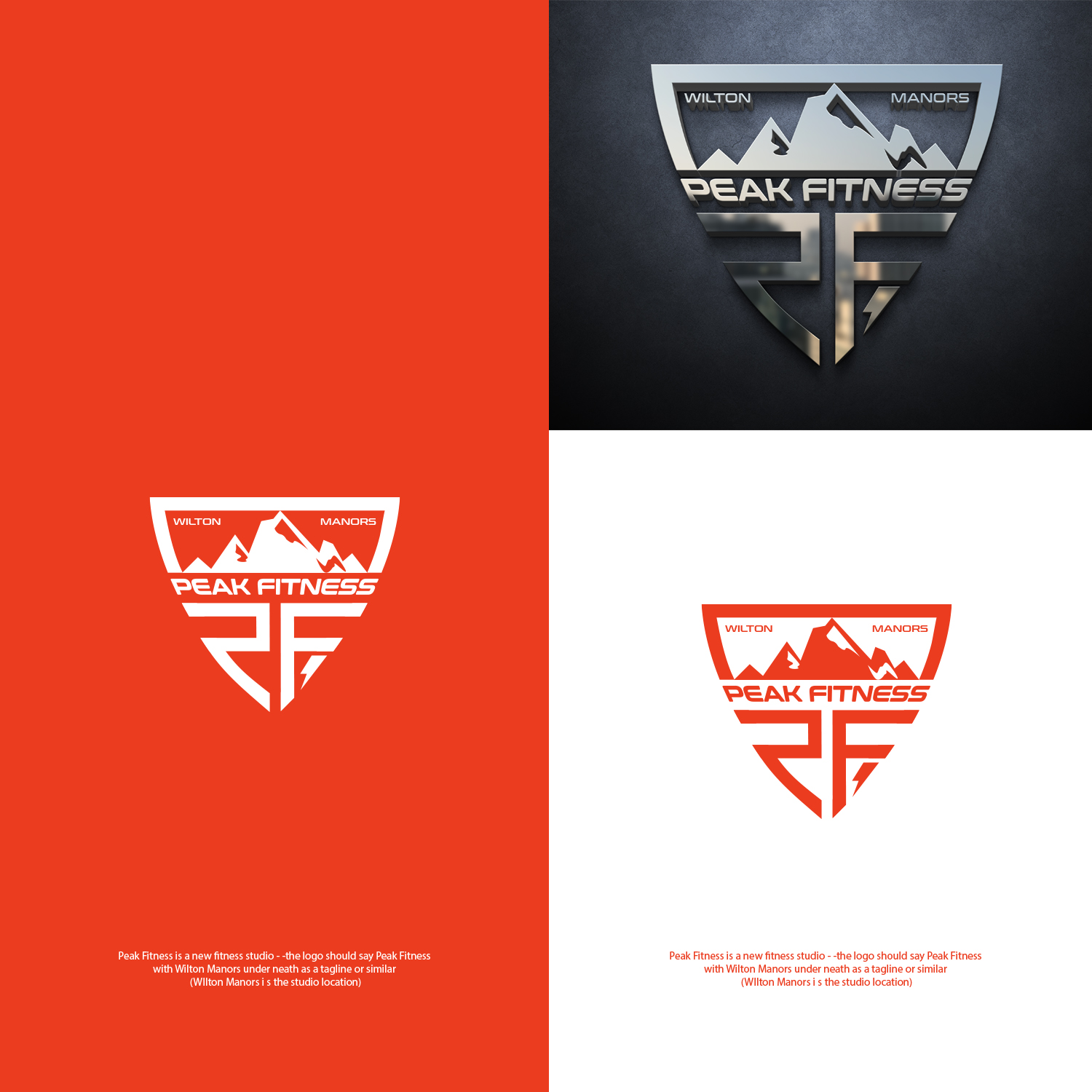 Logo Design by nzdesigners for this project | Design #28504295