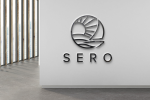 Design de Logo par 4tech services pour Sero Innovations | Design : #28500021