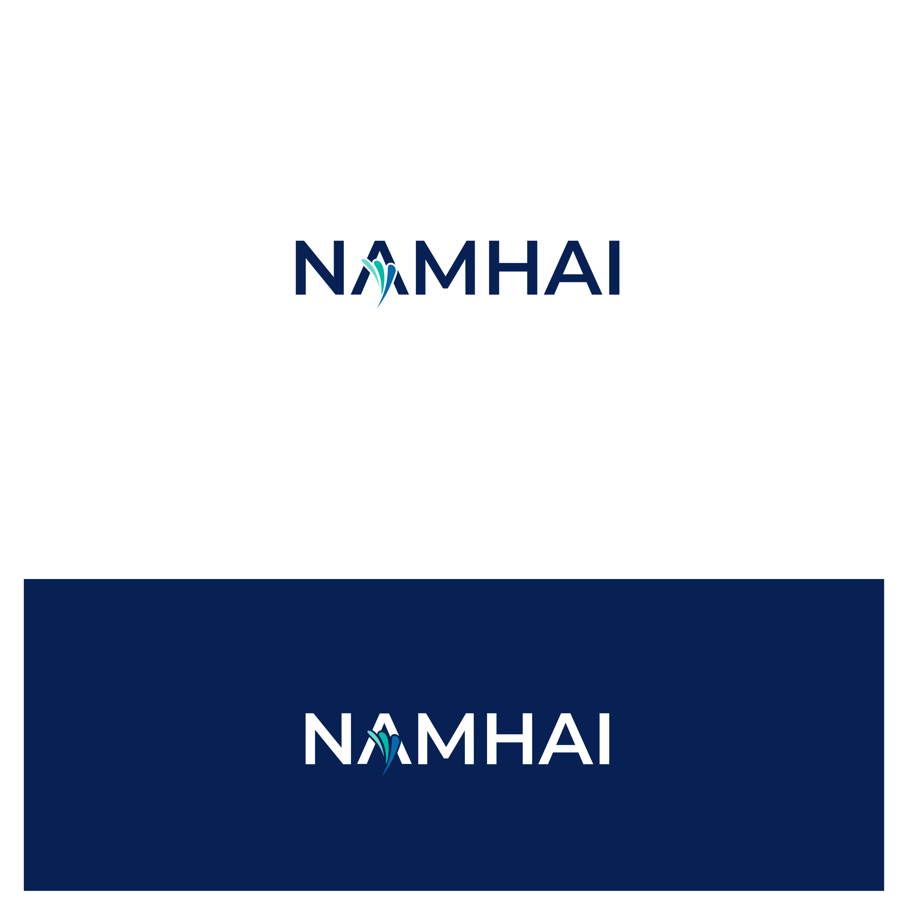 Diseño de Logo por alzac para NAMHAI  | Diseño #28506152