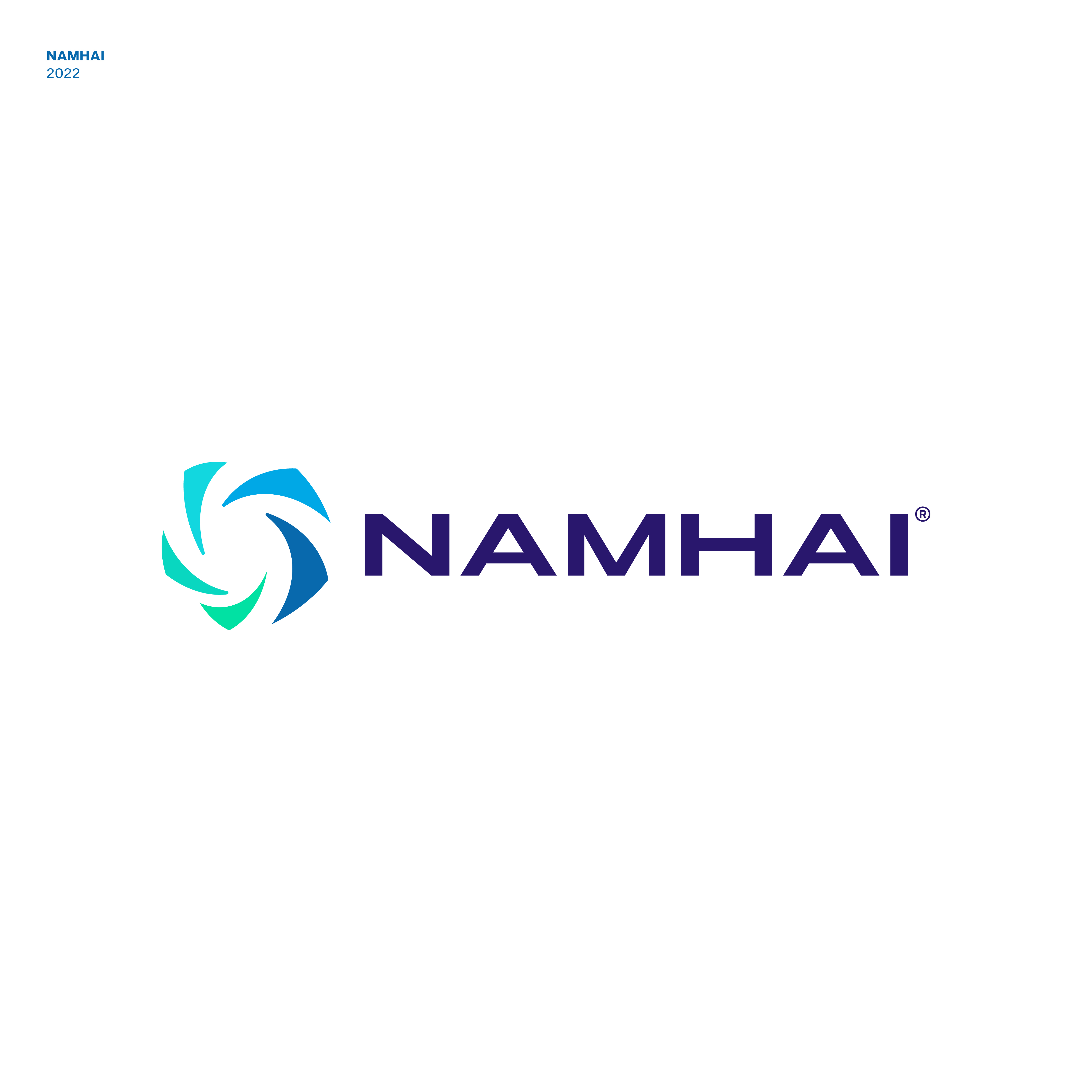 Logo Design by JBalloon Design for NAMHAI  | Design #28504590