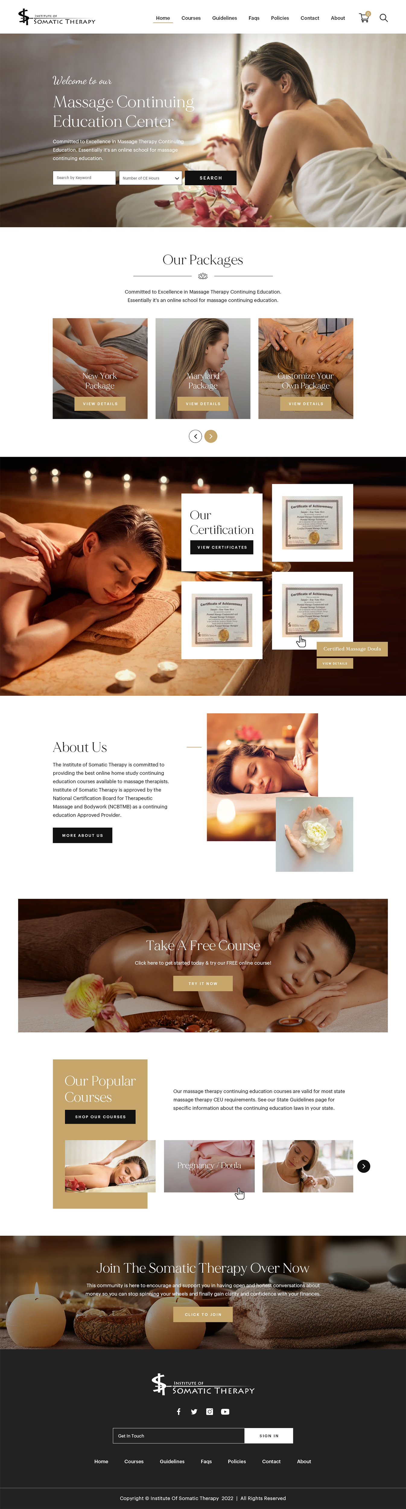 Web Design by creative.bugs for WebDuck Designs | Design #28511878
