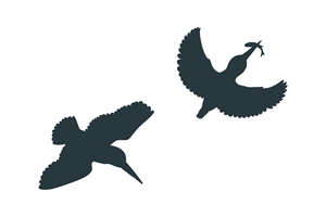 Vector Design by Erdie Tadeo