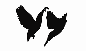 Vector Design by logoQ for this project | Design: #28512838