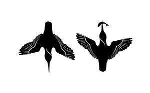 Vector Design by geni