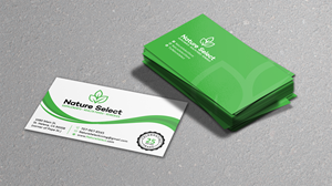 Business Card Design by Verified artistry (Design garden) for Daystar One | Design: #28532529