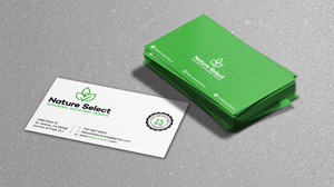 Business Card Design by Verified artistry (Design garden) for Daystar One | Design: #28532530