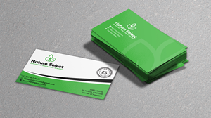 Business Card Design by Verified artistry (Design garden) for Daystar One | Design: #28532533