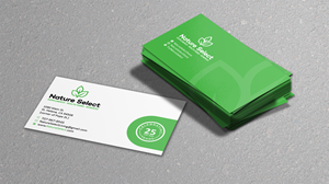 Business Card Design by Verified artistry (Design garden) for Daystar One | Design: #28532563